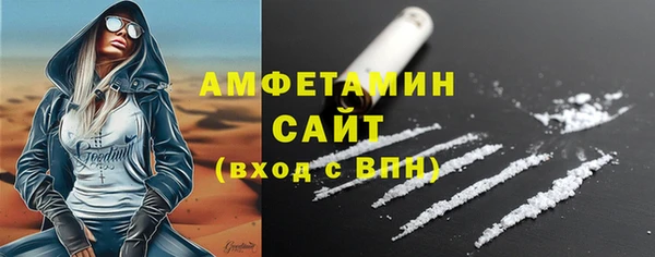 гидра Верхний Тагил