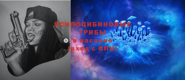 индика Верхнеуральск