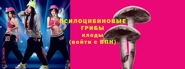 а пвп мука Гусь-Хрустальный