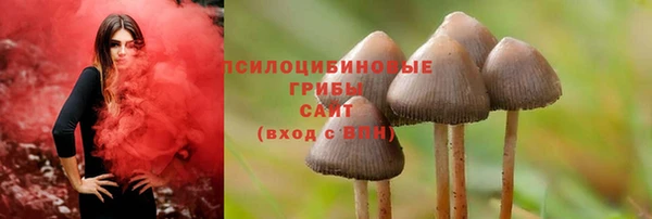 spice Бронницы