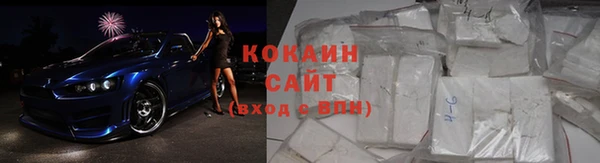 тгк Бородино