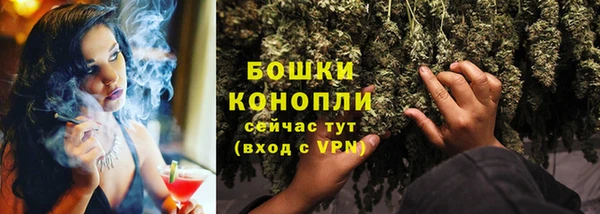 индика Верхнеуральск